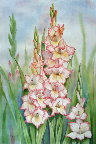 Aquarel gladiolen