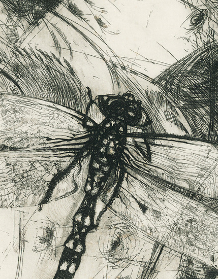 Dragonfly 2 - 蜻蜓