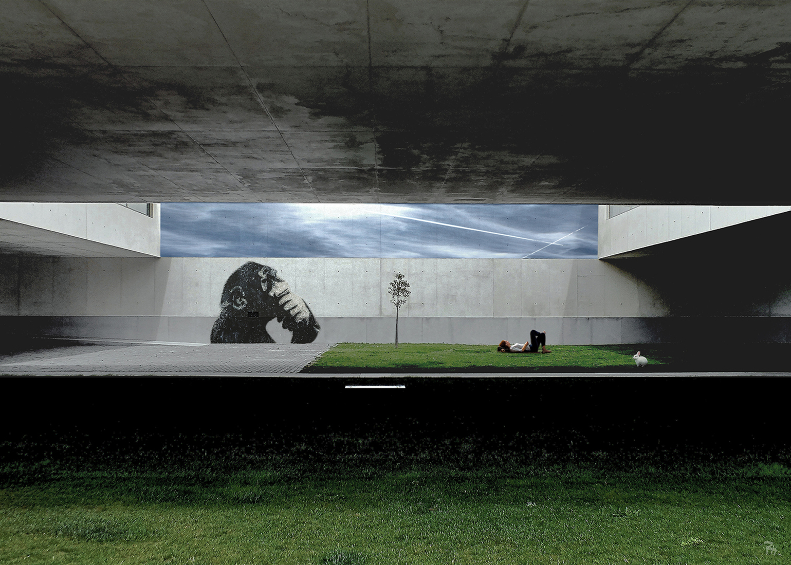 The girl and the rabbit