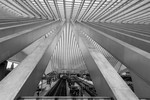 Architect Santiago Calatrava - treinstation Luik