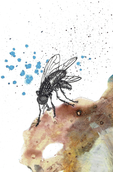 Vlekken en Vliegen I