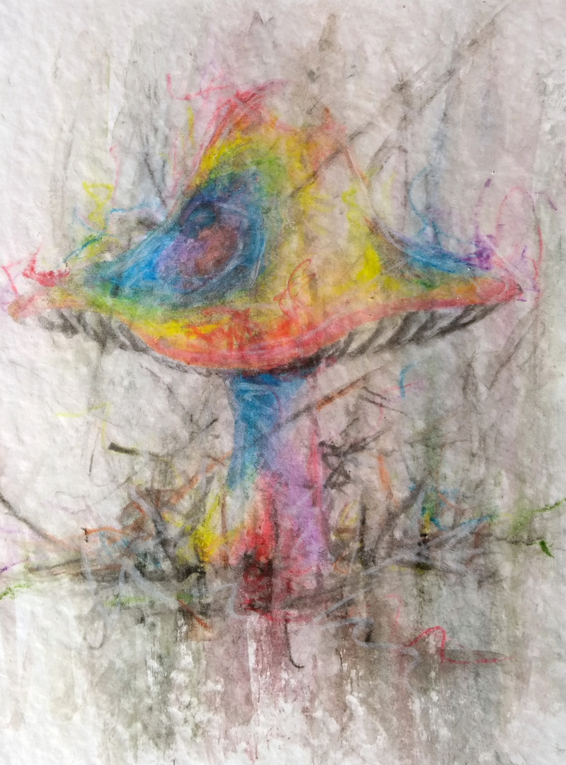 Regenboogpaddenstoel