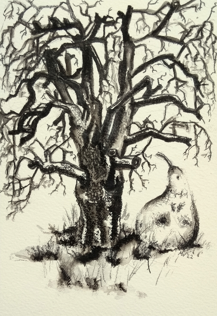 dode perenboom 51.871359, 5.851644