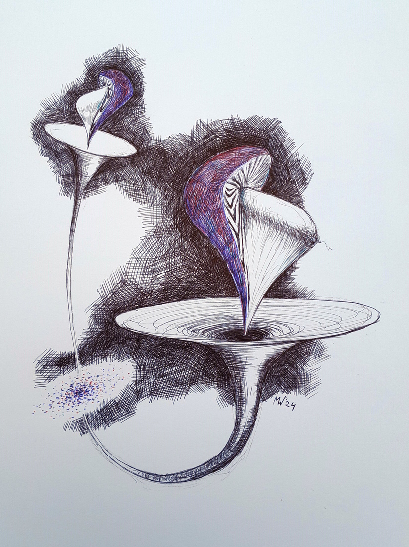 Mushroom in and out a BIC black and white hole