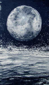 Niet-levende omgeving (van zolderraam tot universum)