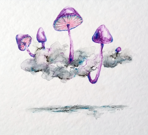 Paddenstoelen