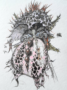 Bloemen, bomen, planten en mossen