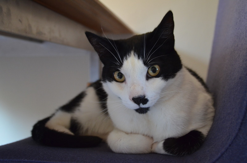 Kobus Melein op stoel.