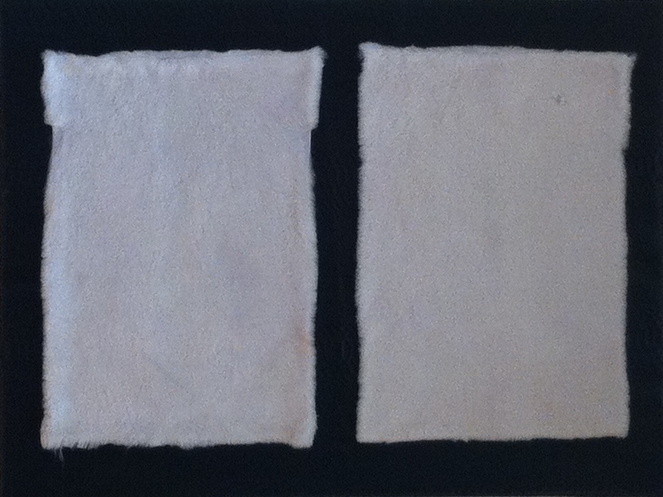 Schapen in een slangenkuil