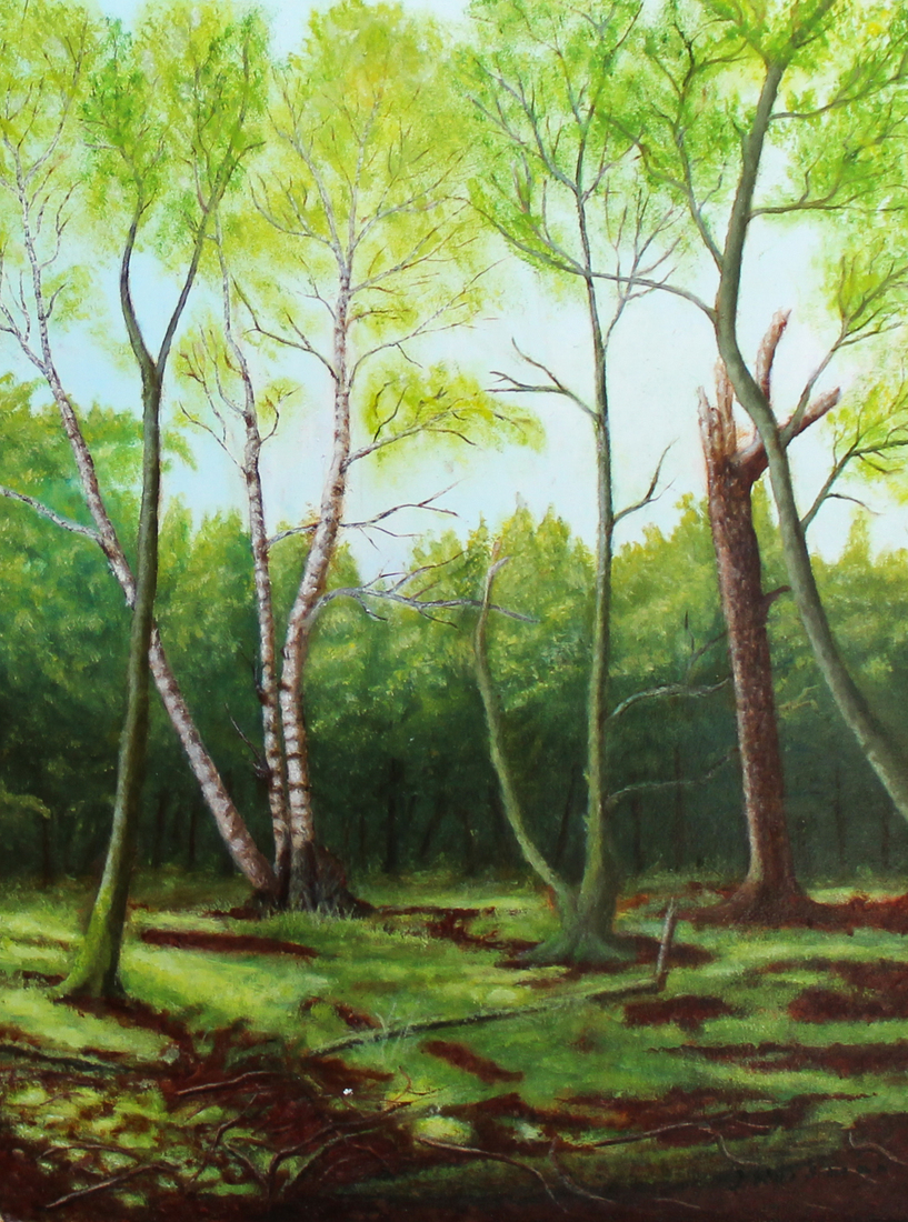 Vroege ochtendzon in het Reijersbosje bij Orvelte. 