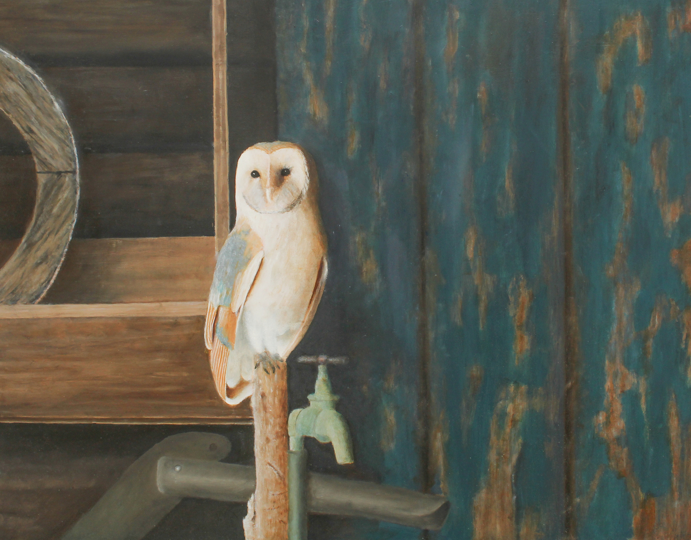 Kerkuil in oude schuur met rommel