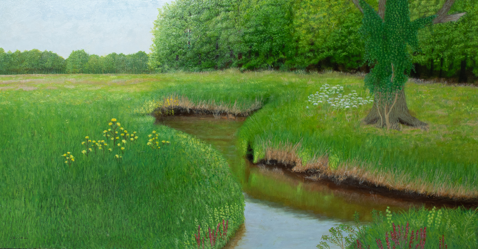 Landschap met boom begroeid met klimop