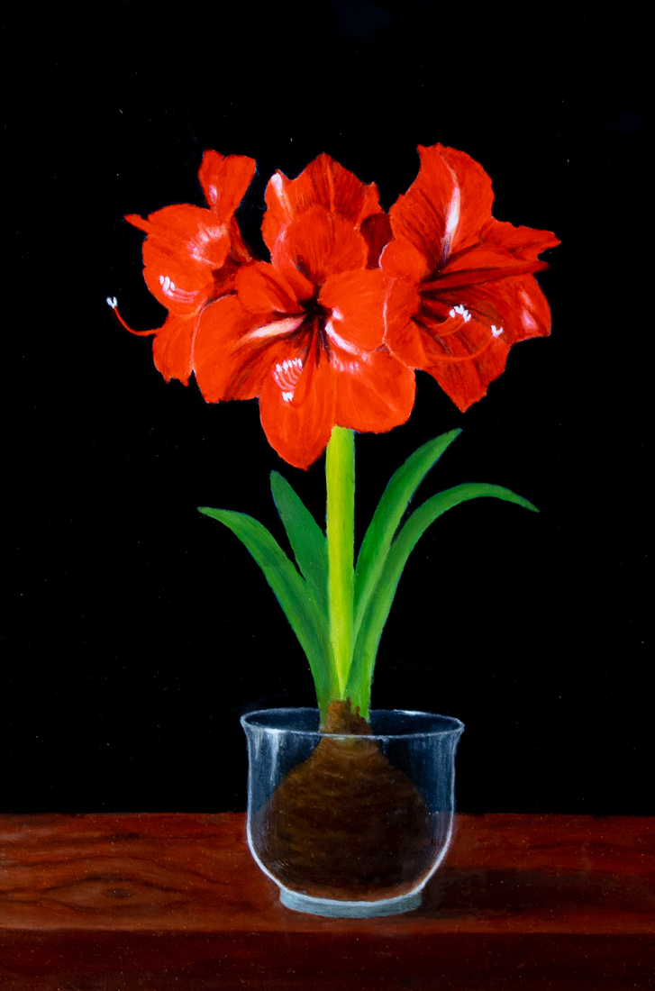 Boeiende amarillus in glazen potje