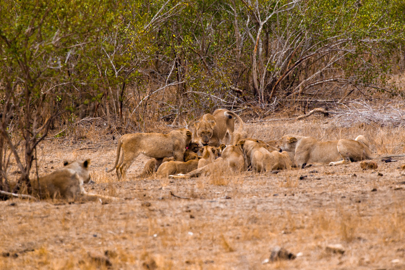 Hallo, ik ben er ook nog