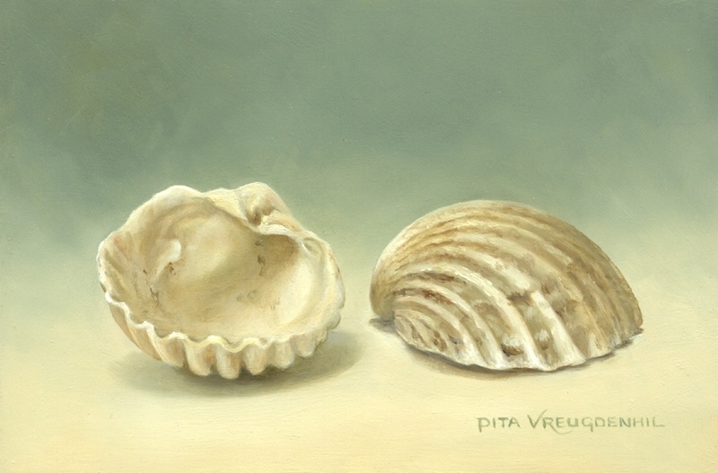 Stilleven met kokkels