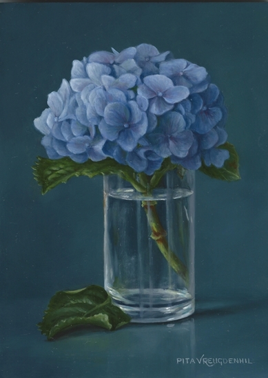 Hortensia in glas