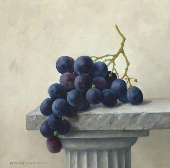 Blauwe druiven op stenen tafel