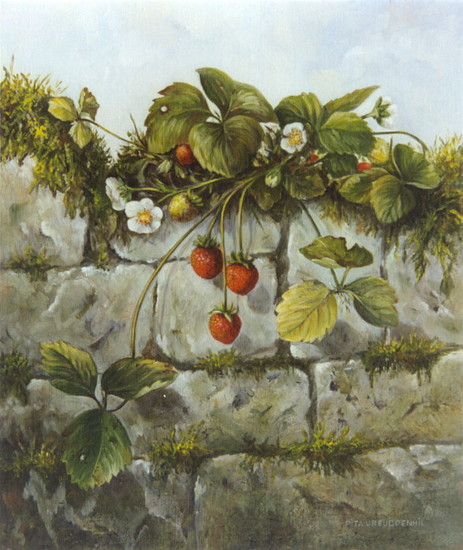 Stilleven met muur met aardbeien