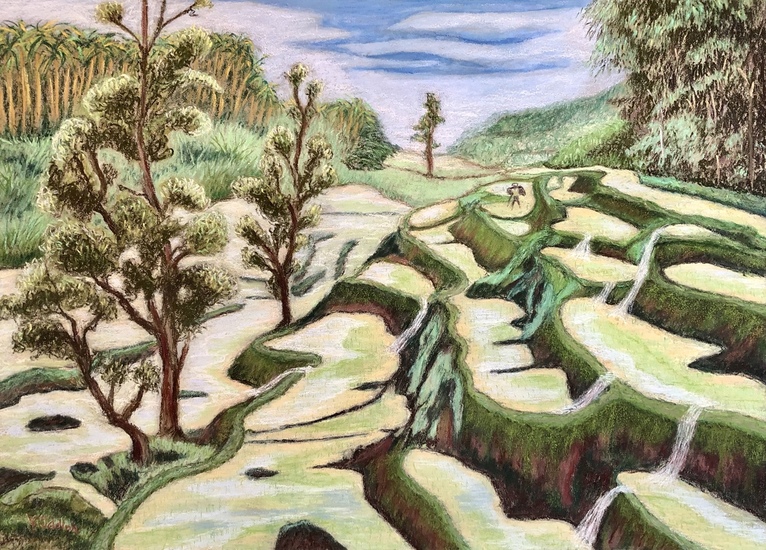 Sawah’s 