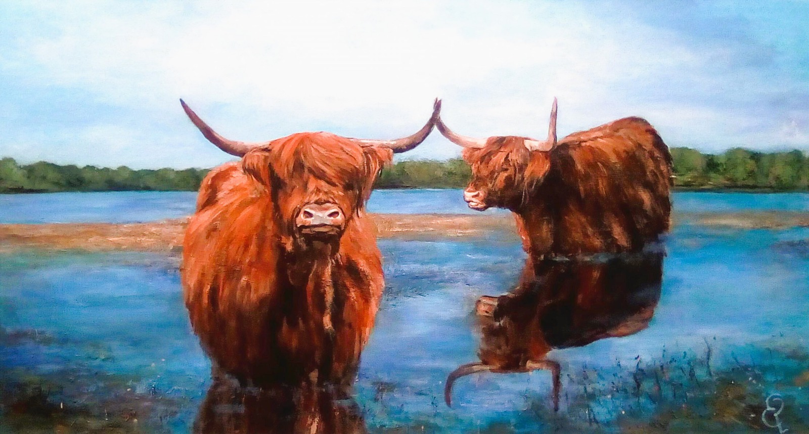 Schotse Hooglanders