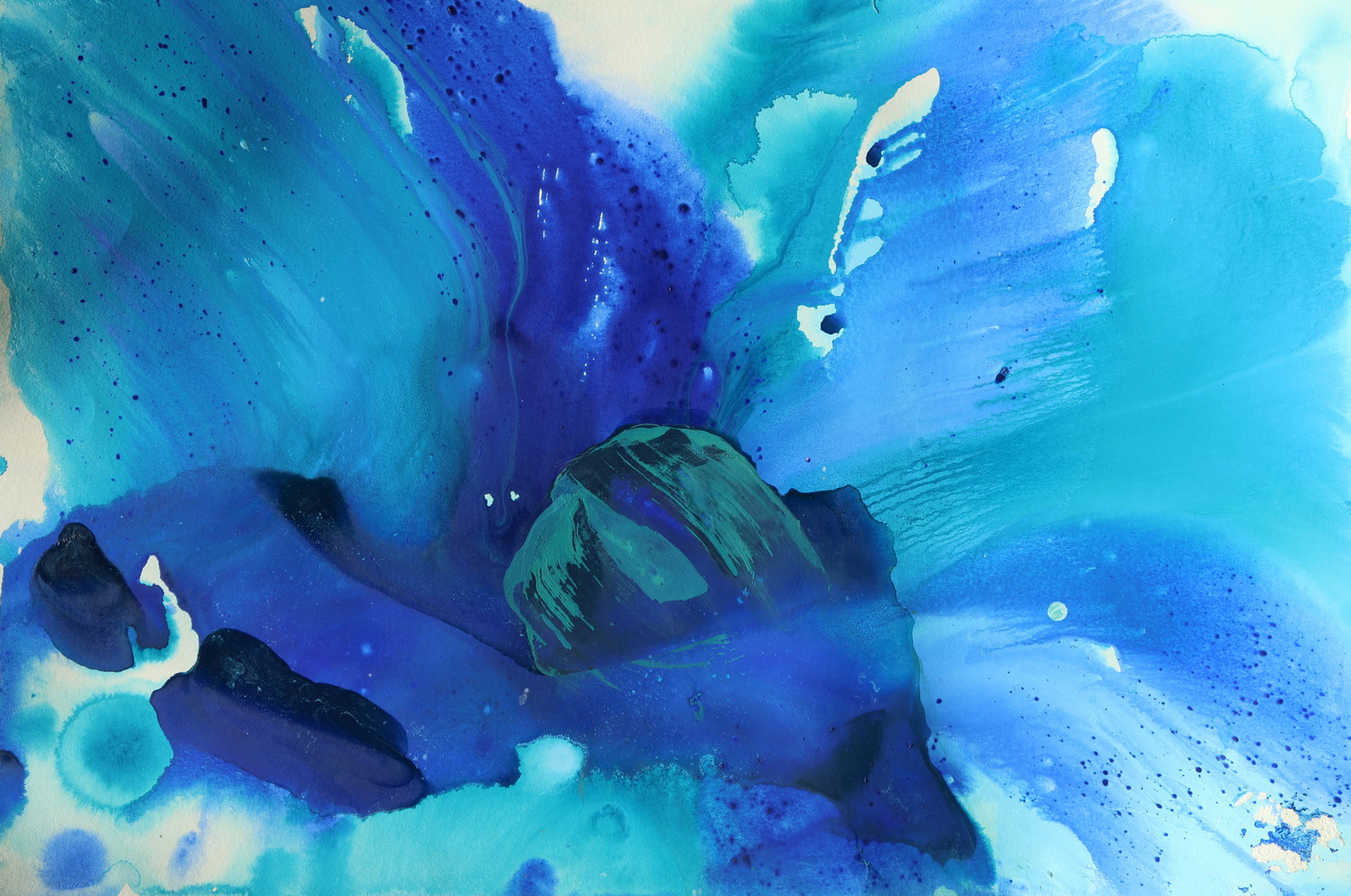 Blauwe bloem.