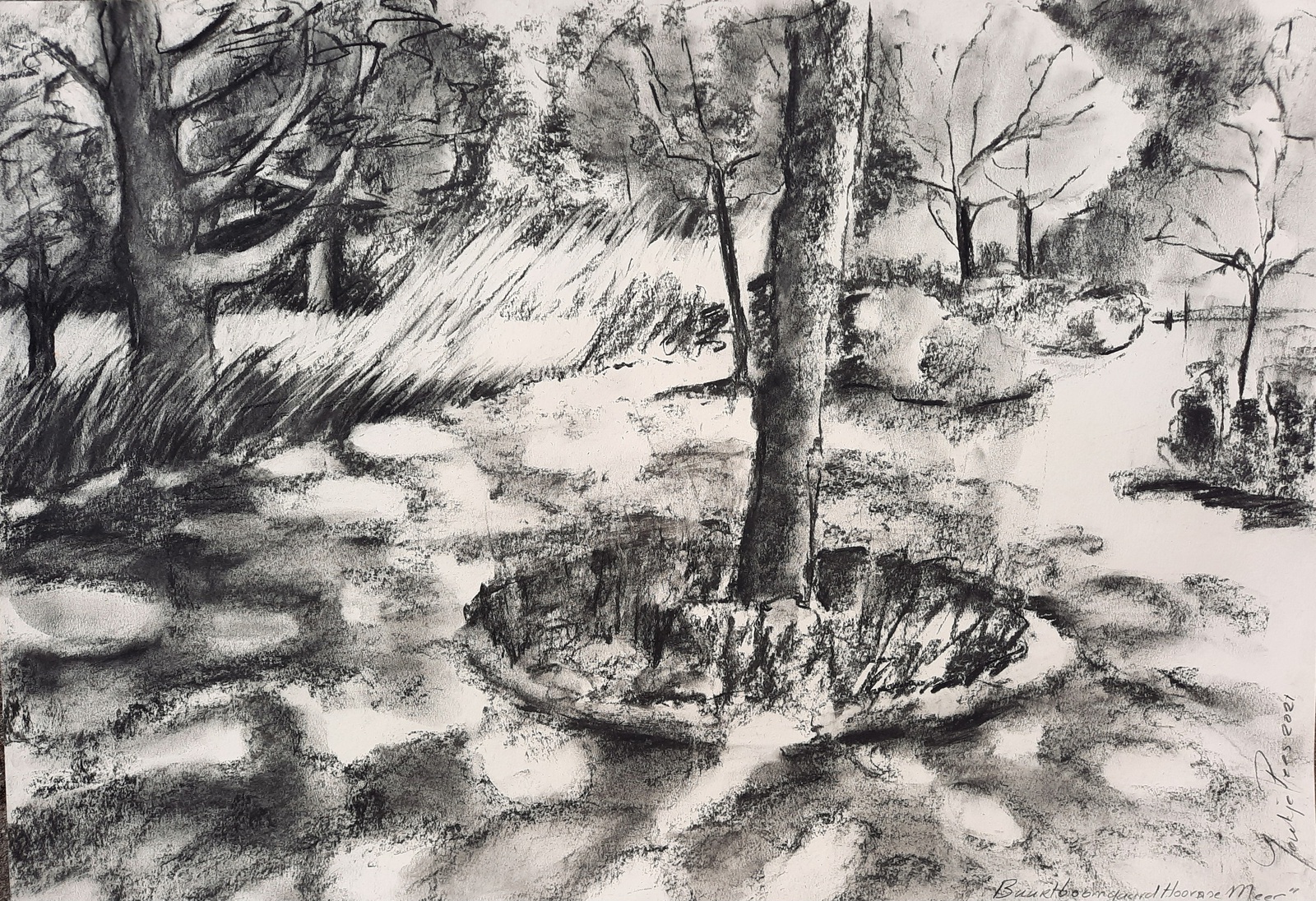 Ochtendlicht in de gaard 1