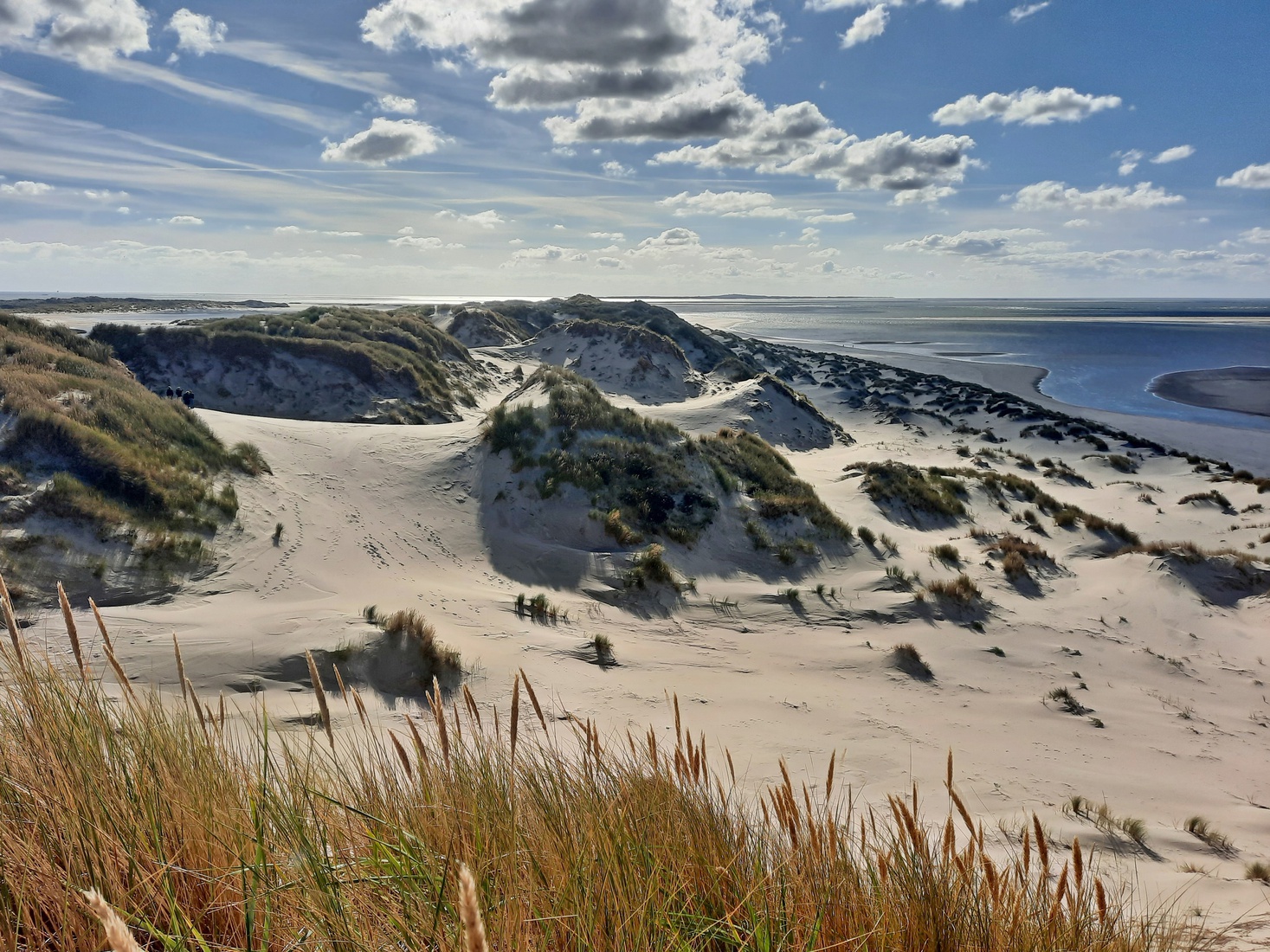Duinen bij paal 3 Terschelling