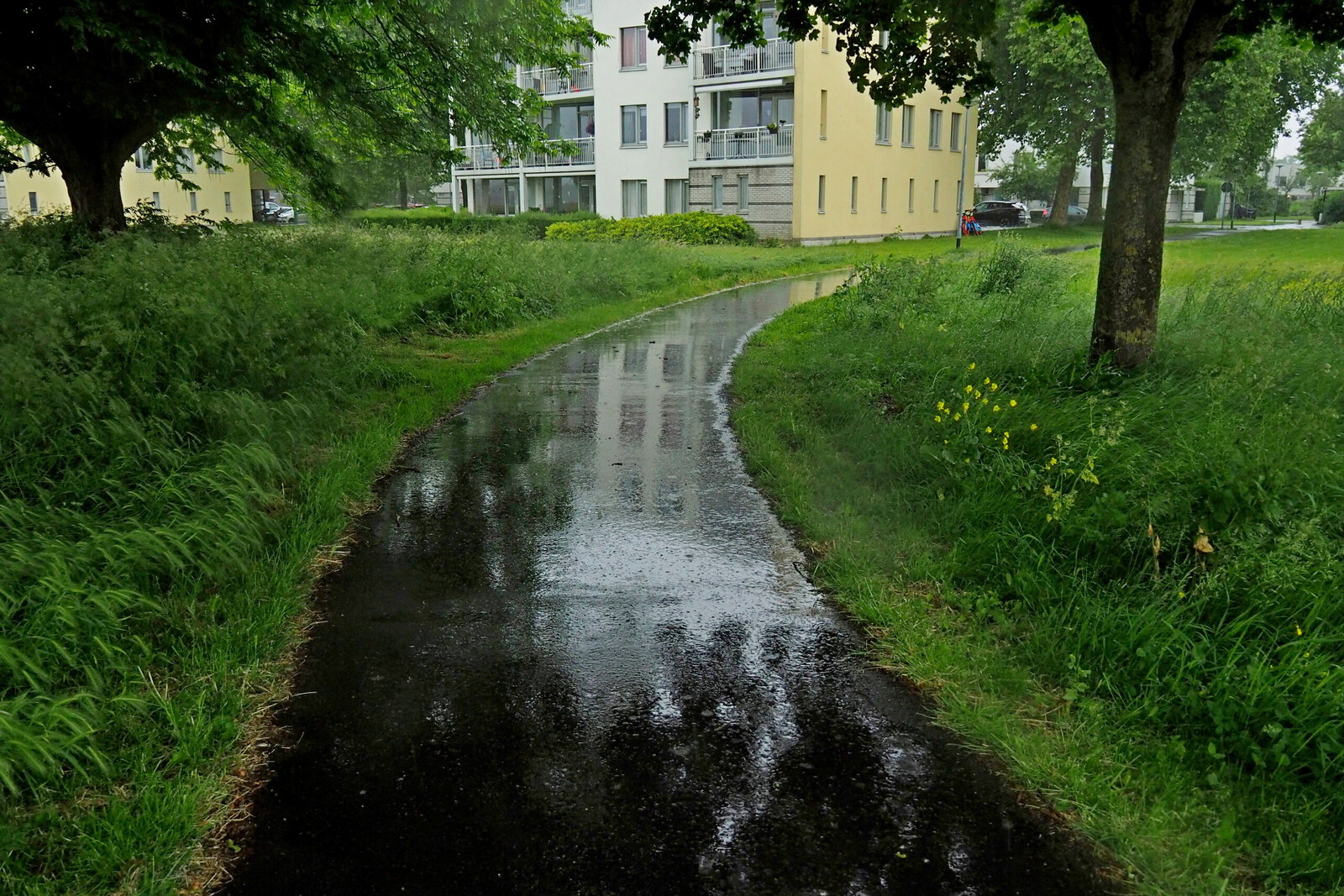 Onder de Okernoot