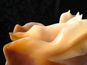 Mijn Coral Art Sculpturen zijn zeer fragiel vormgegeven en verfijnd afgewerkt, waardoor het albast veel licht vangt en het een geweldig lichtspektakel geeft. Als het licht verandert, verandert het hele beeld!