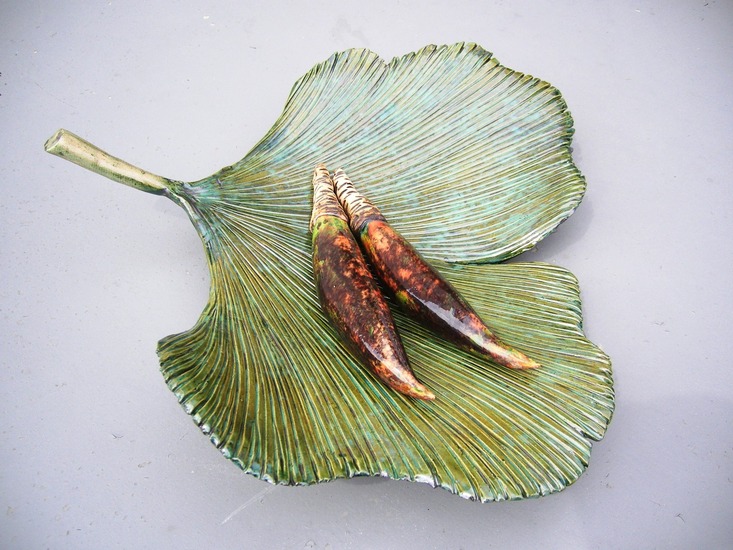 Ginkgoblad met vruchten