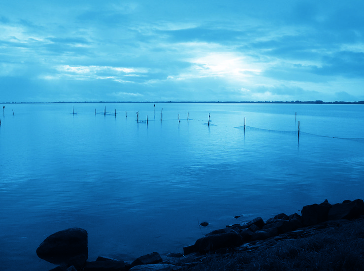 Horizon Landschap IJsselmeer part 6