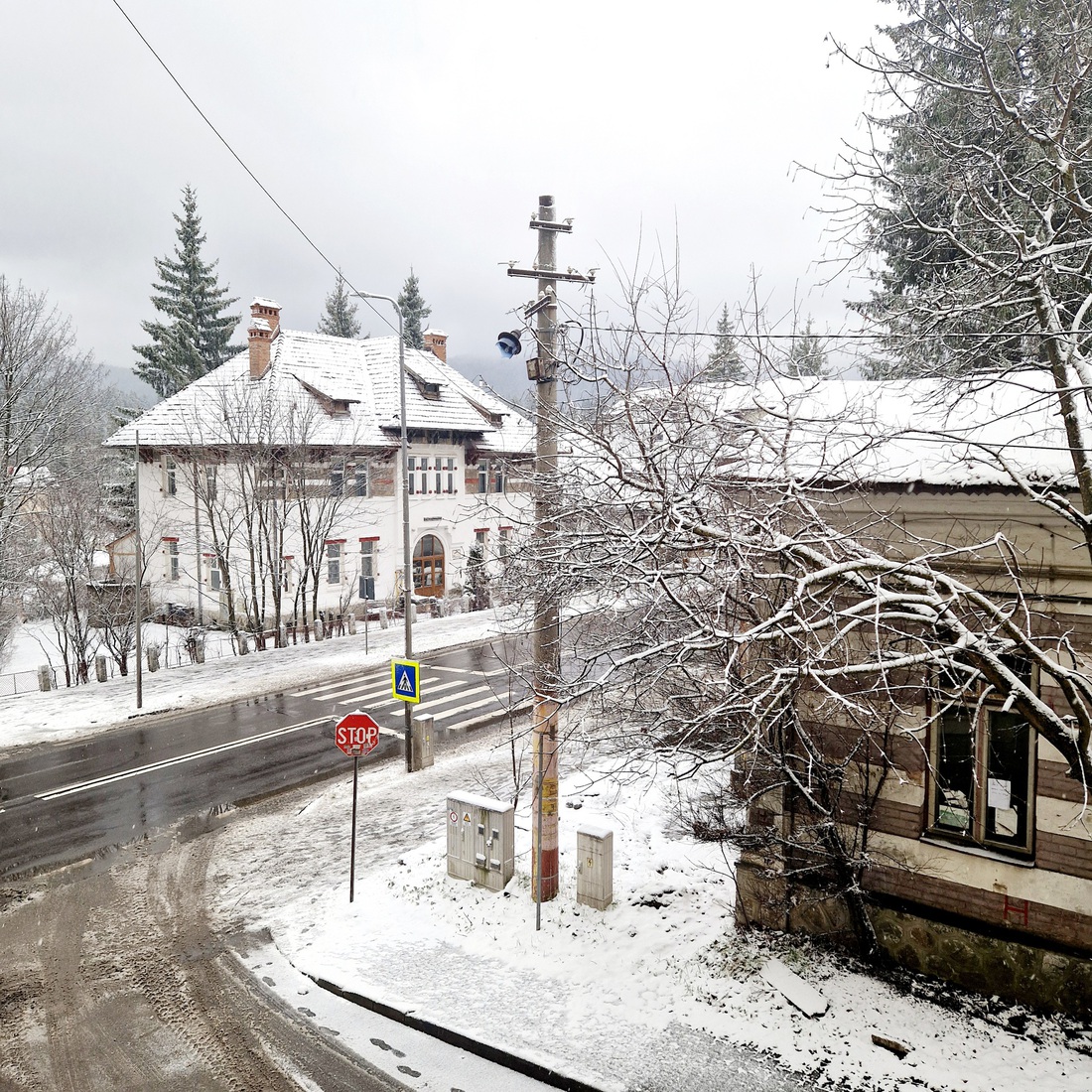 Roemenië 5