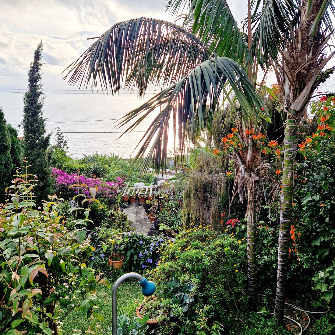 Madeira 2