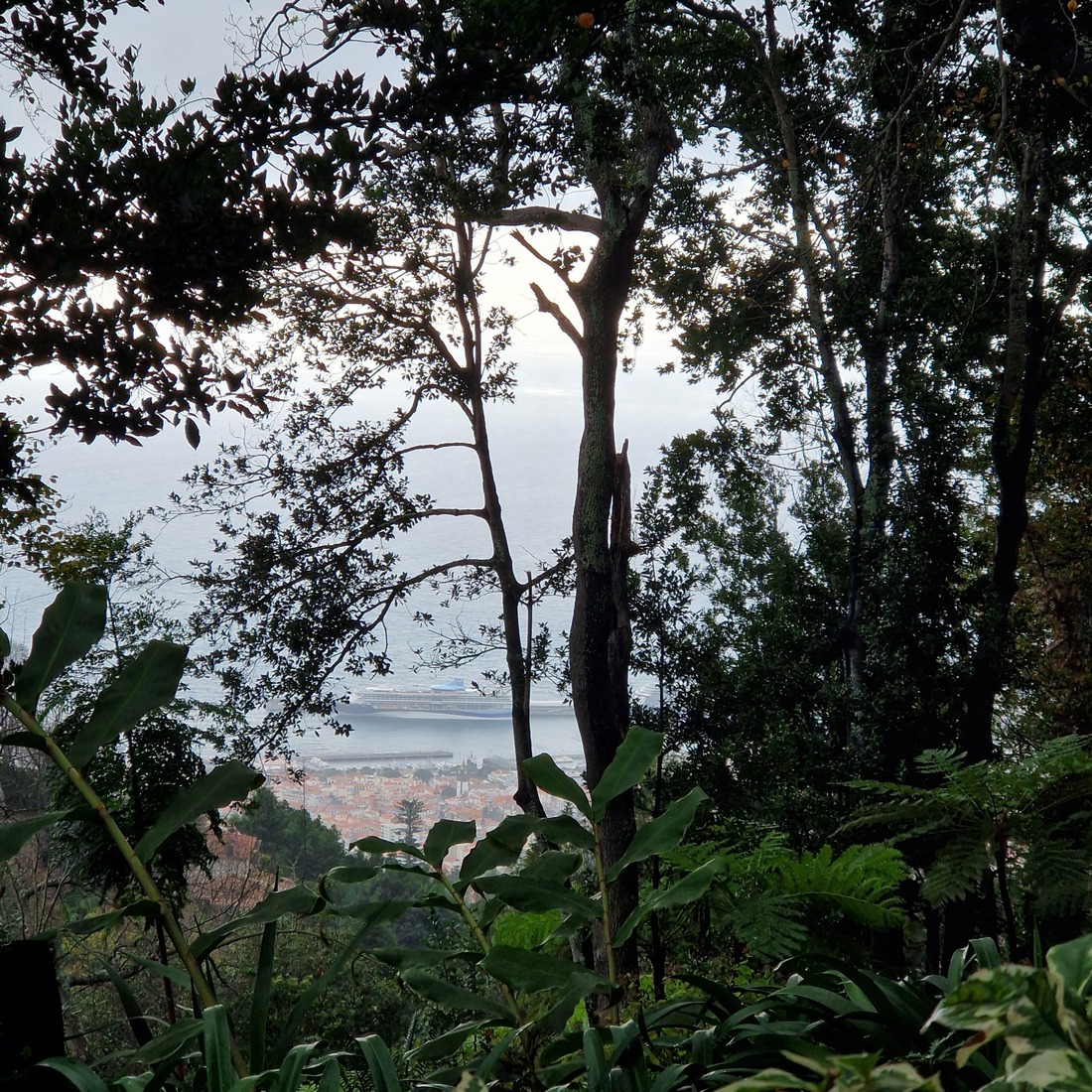 Madeira 10