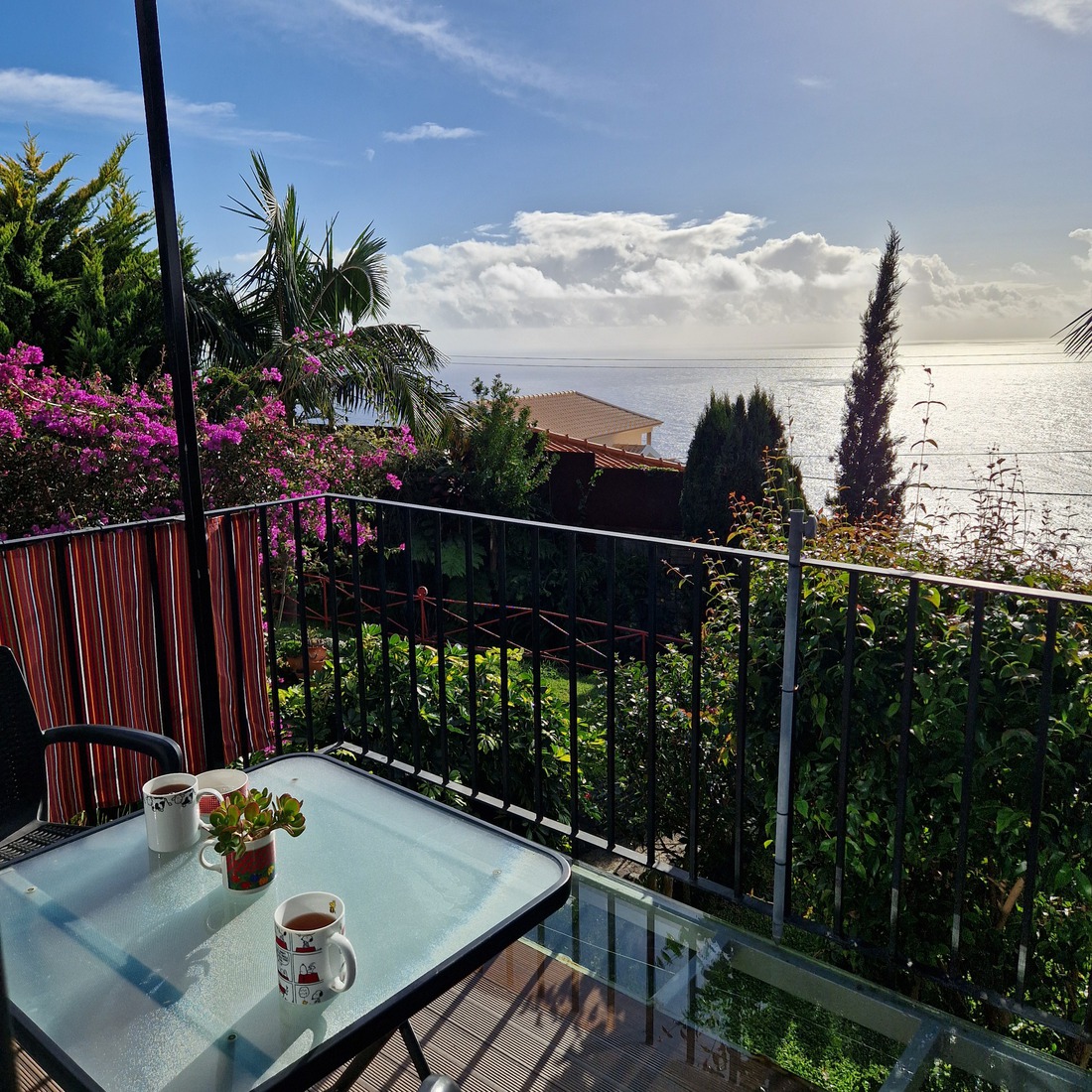 Madeira 15