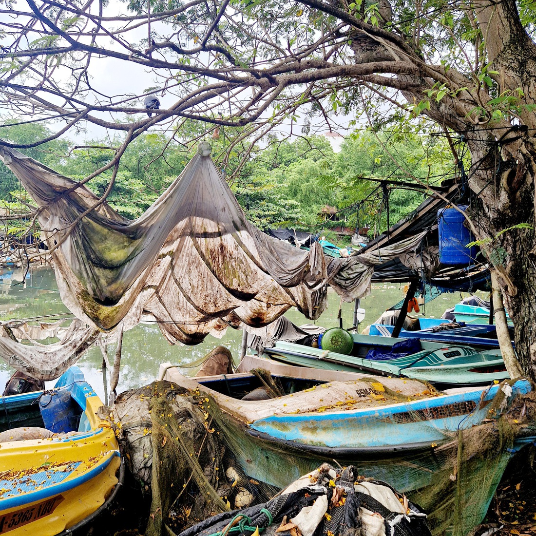 Sri Lanka 1