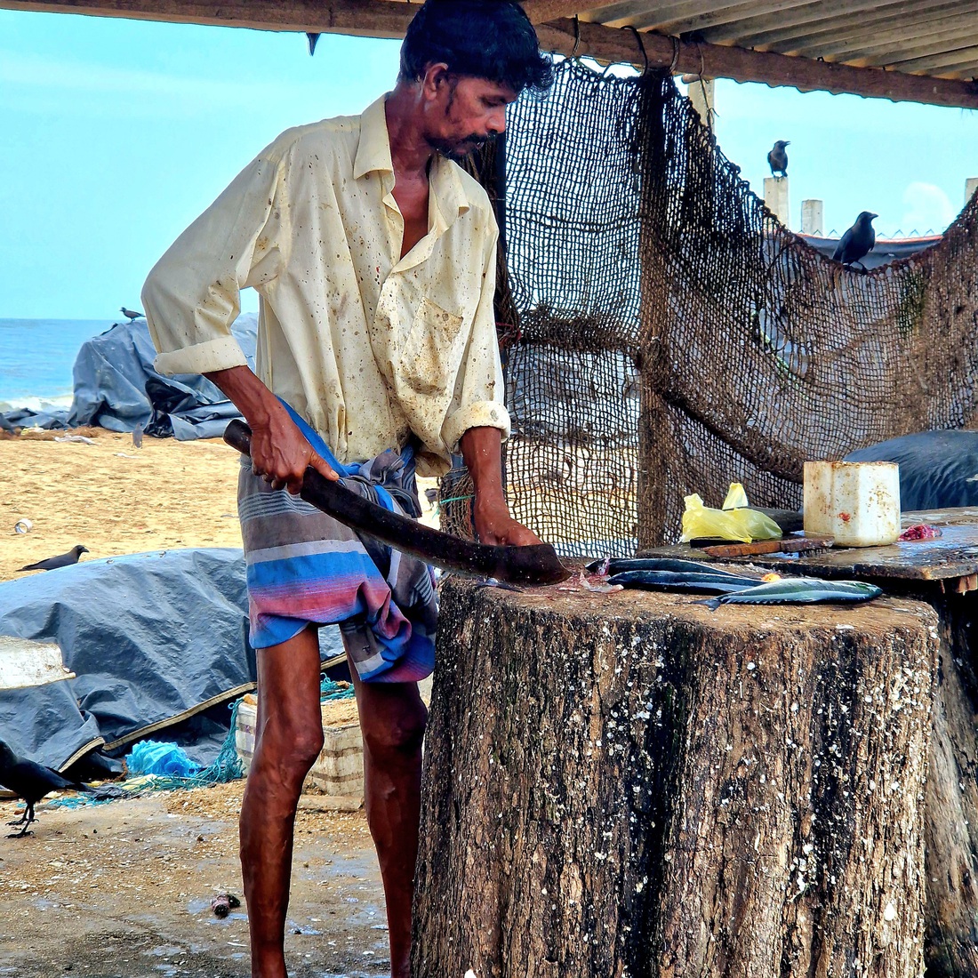 Sri Lanka 5