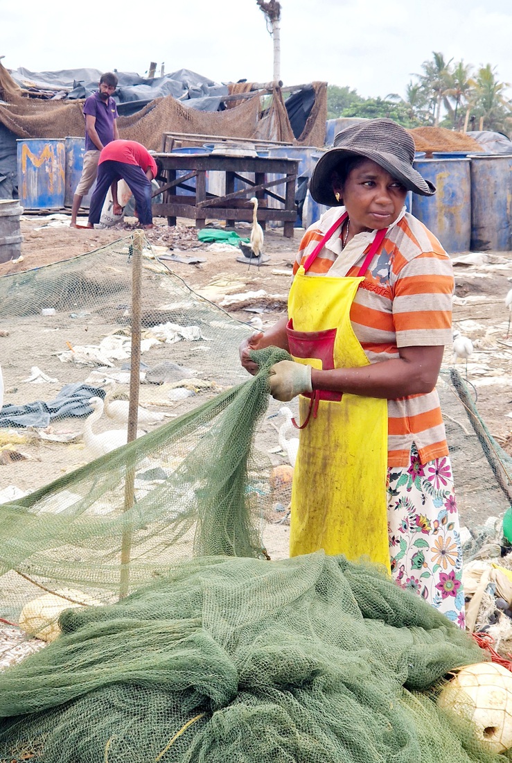 Sri Lanka 9