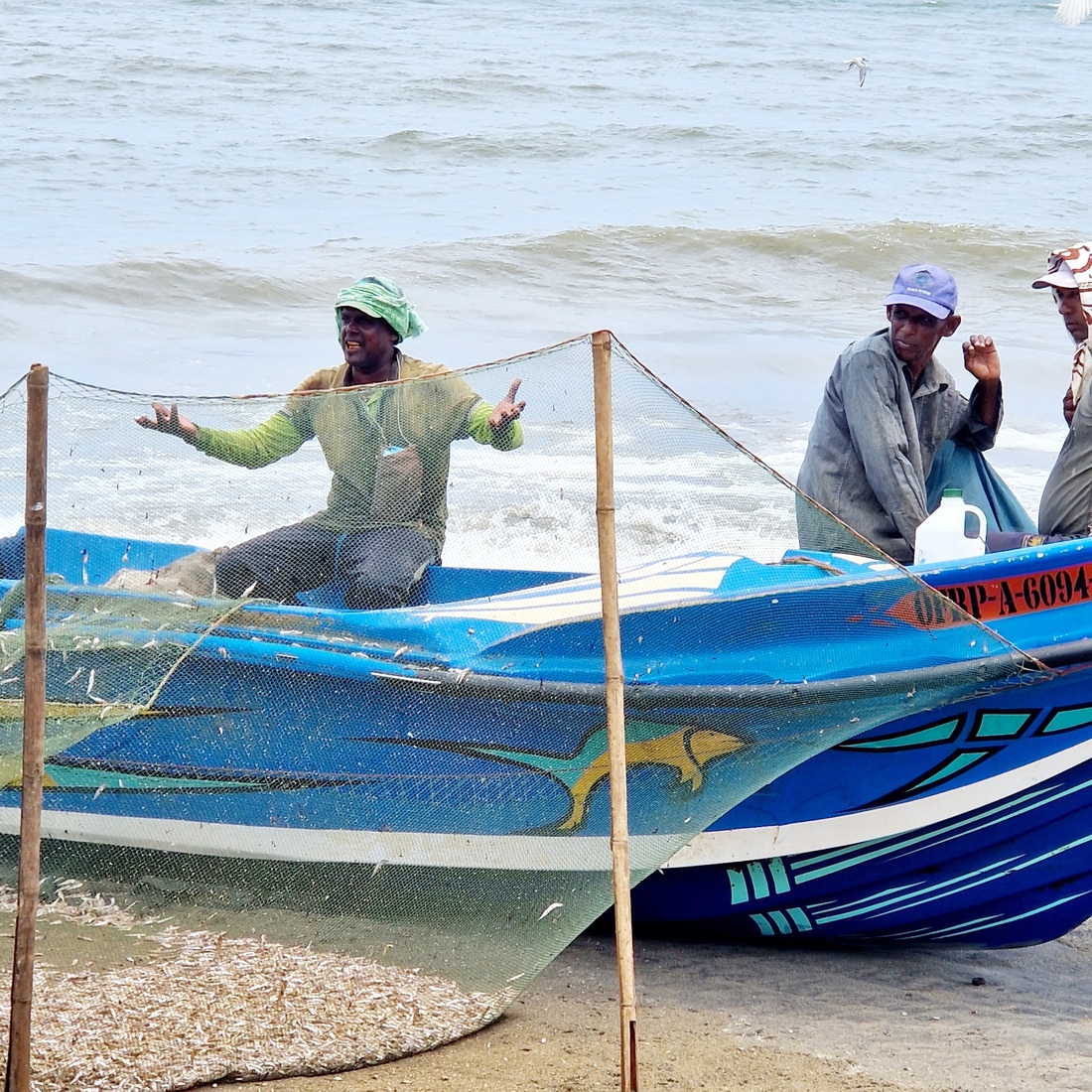 Sri Lanka 11