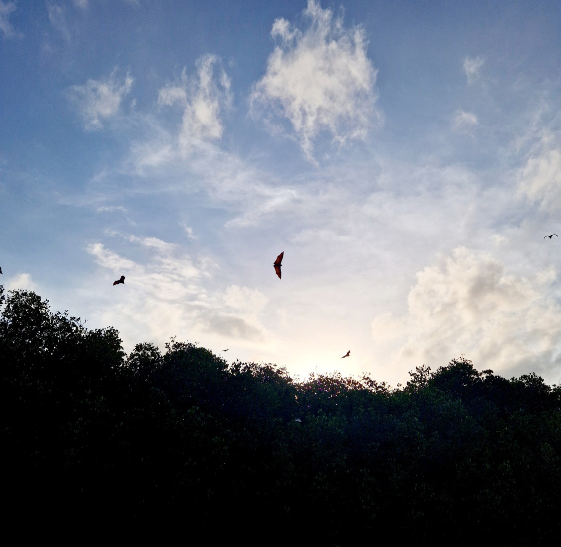 Sri Lanka 12