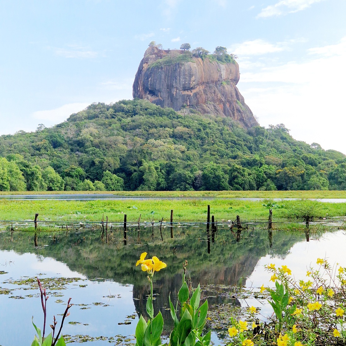 Sri Lanka 23