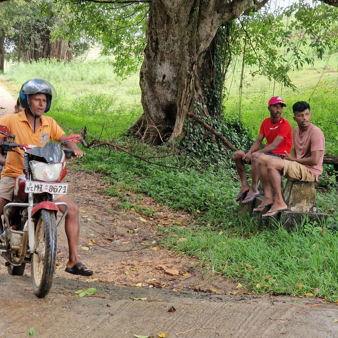 Sri Lanka 32