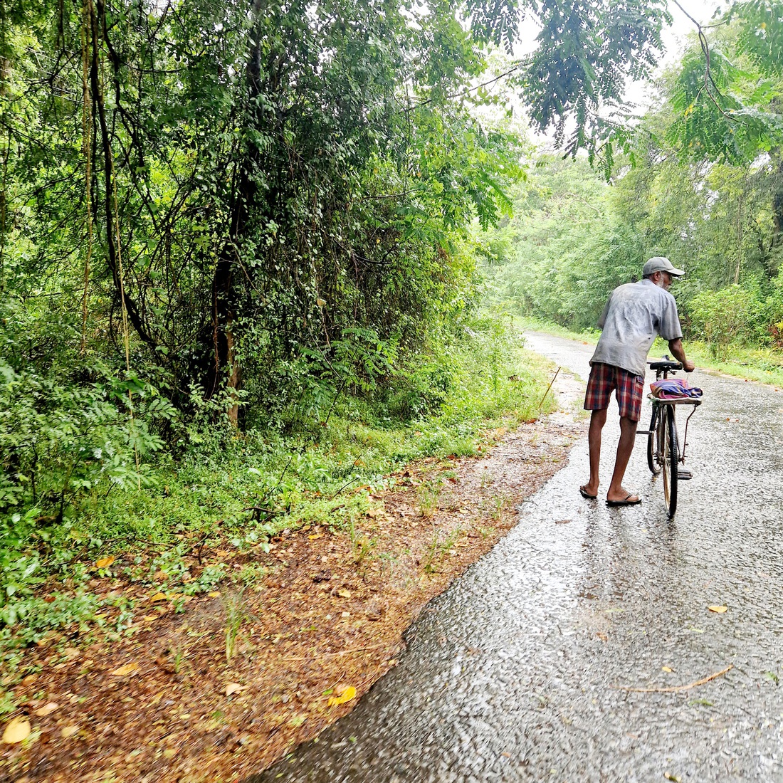 Sri Lanka 36