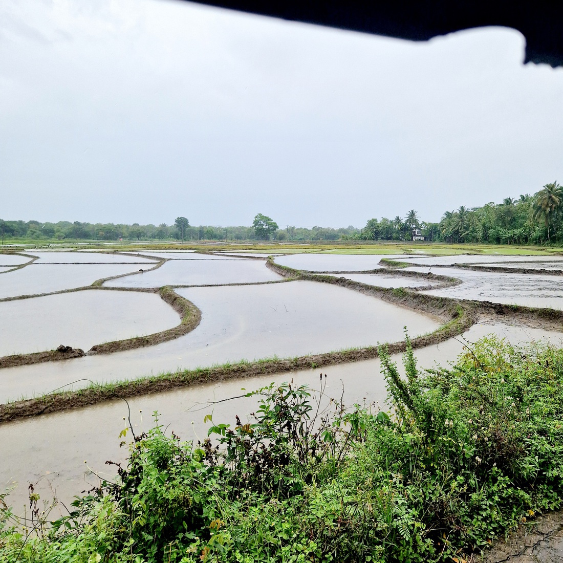 Sri Lanka 37