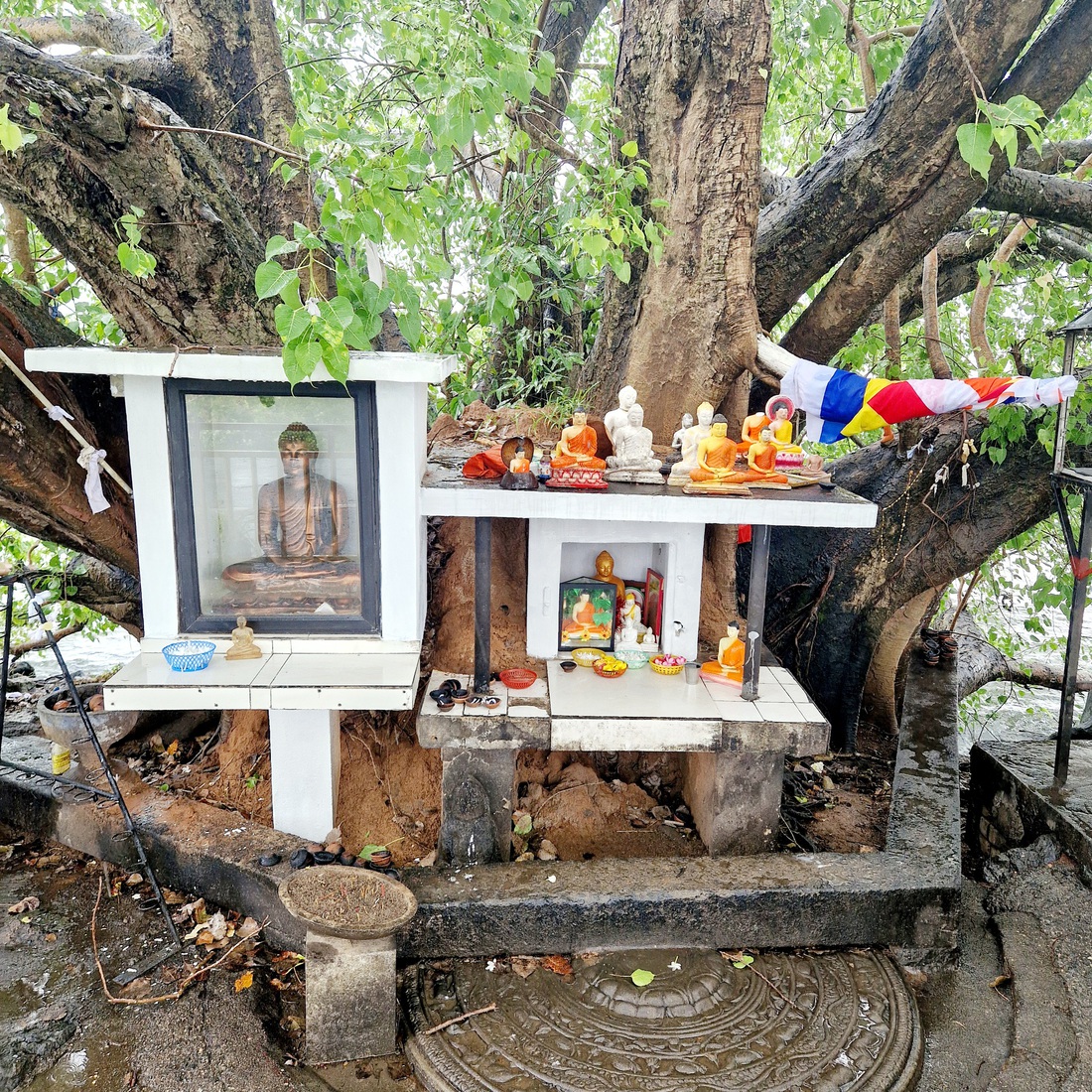 Sri Lanka 38