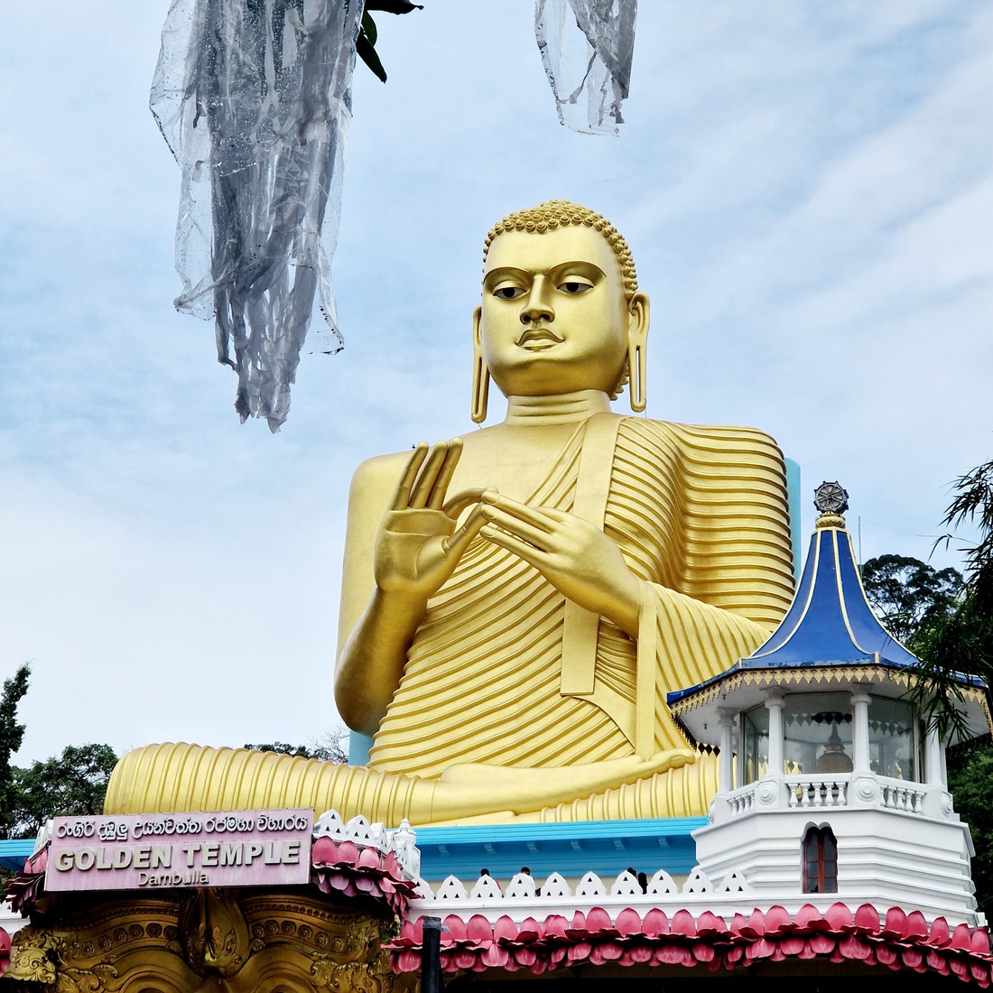 Sri Lanka 44
