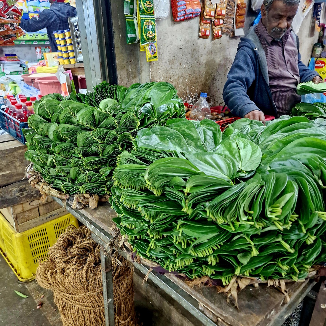 Sri Lanka 59