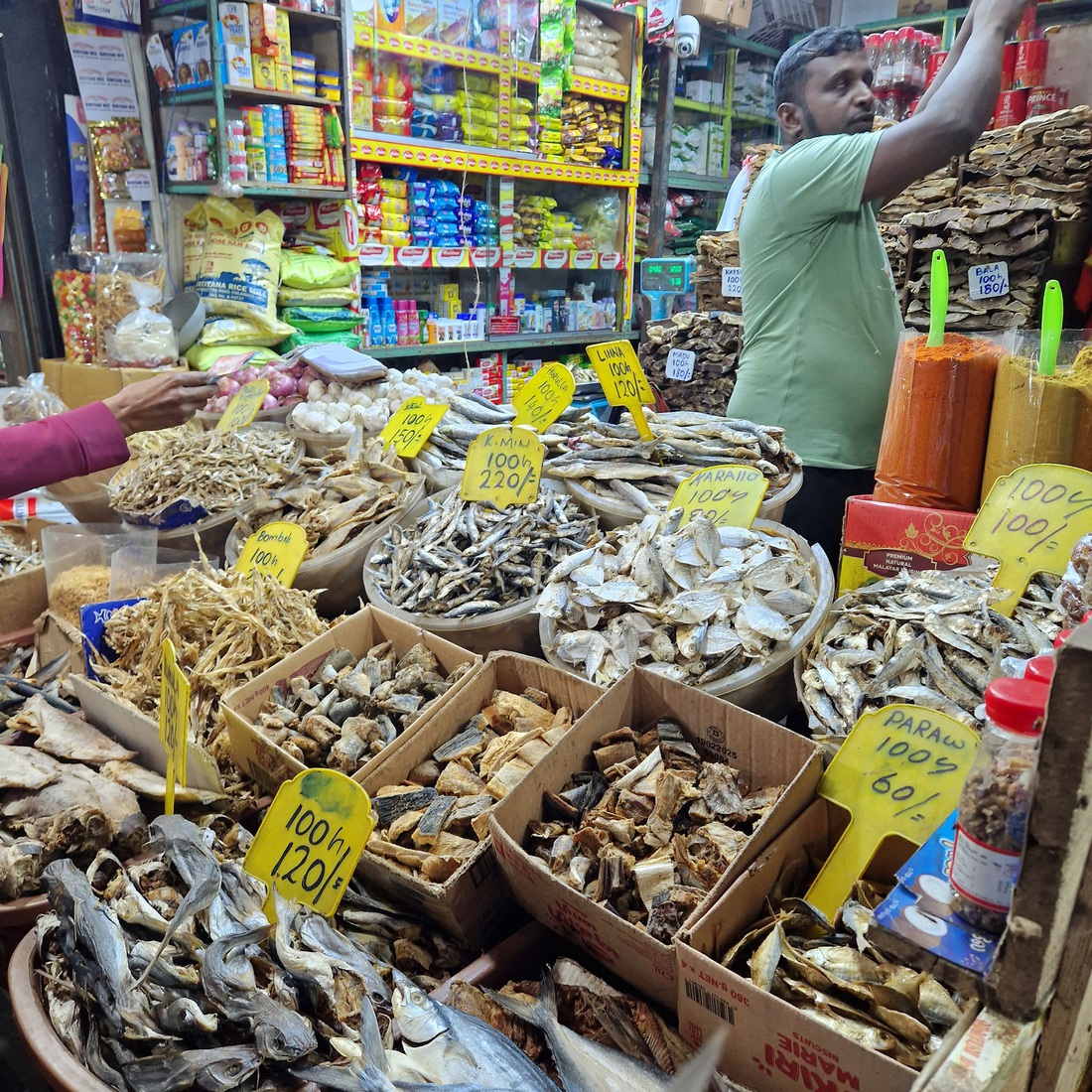 Sri Lanka 60