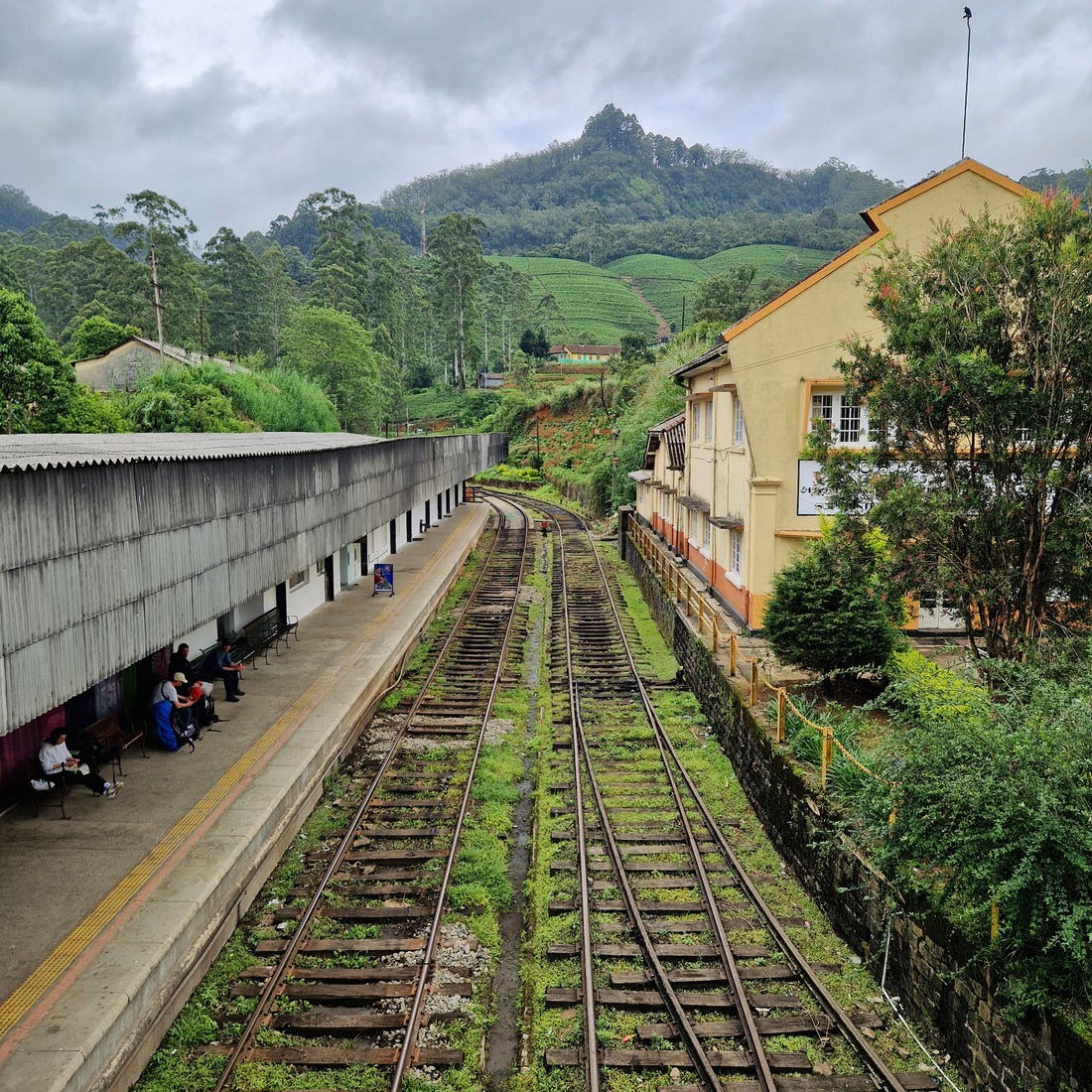 Sri Lanka 63