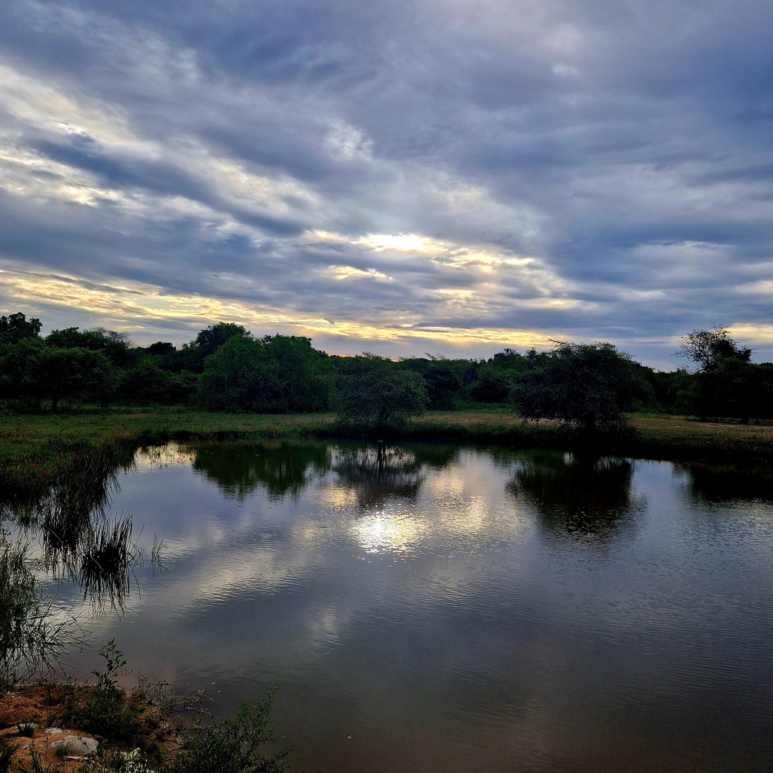 Sri Lanka 74